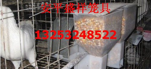 ...沧拉祜族自治县鸽笼多钱一套价格澜沧拉祜族自治县最便宜鸽子笼
